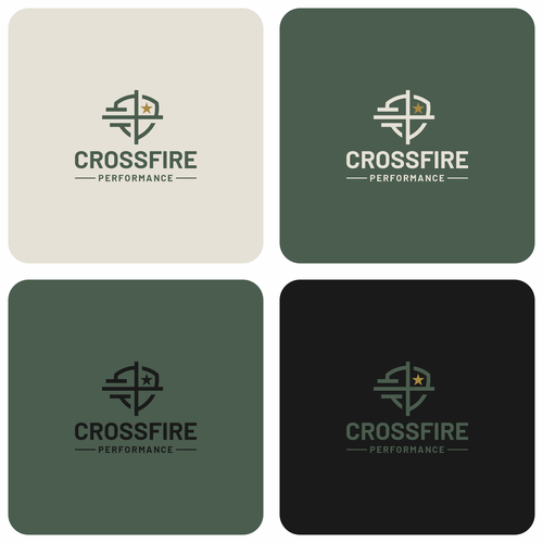 "Pro 2a competitor in sporting endeavours with business acumen" winning Logo & social media pack