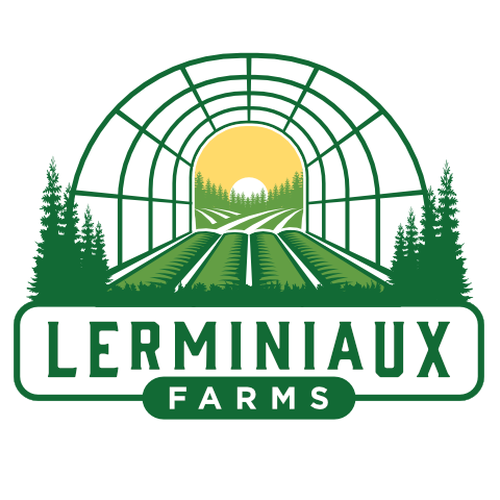 Modern/Abstract logo for small upstate NY vegetable farm. Design by metaXsu