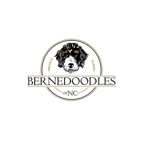 Bernedoodle dog logo capturing beauty & whimsical fun of the breed Design by F.canarin