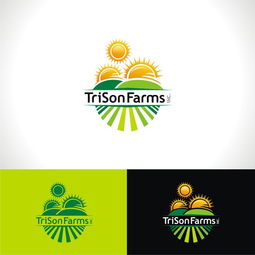 Create a modern logo incorporating 3 suns/agriculture for a well known Canadian marketing company Réalisé par heosemys spinosa