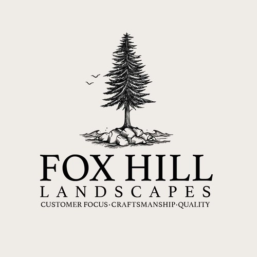 Design finalista por olimpio