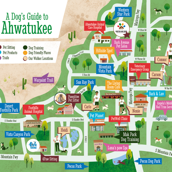 Custom Illustrated Map