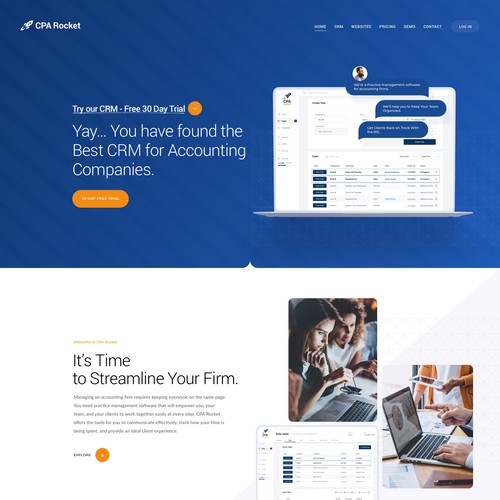 Website Design for our Accounting CRM Software Design von keilaMaria