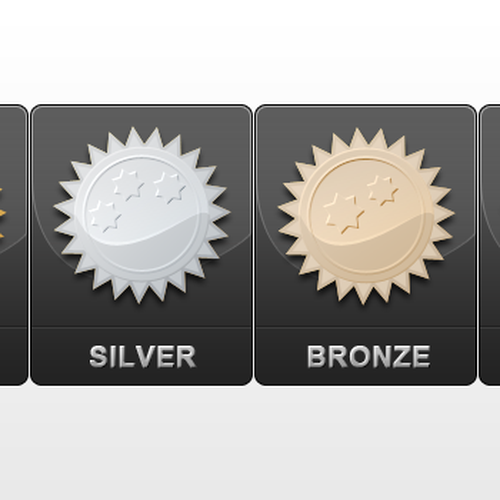 Subscription Level Icons (i.e. Bronze, Silver, Gold, Platinum) Design by Dana Chichirita