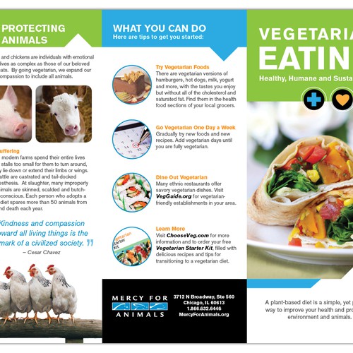 Print or packaging design contest entry by phoebetsui