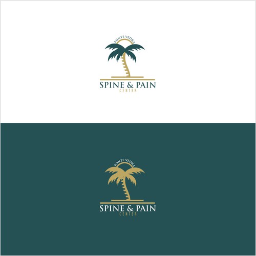 Spine and Pain Medical Practice in Florida Design by Alexiuz