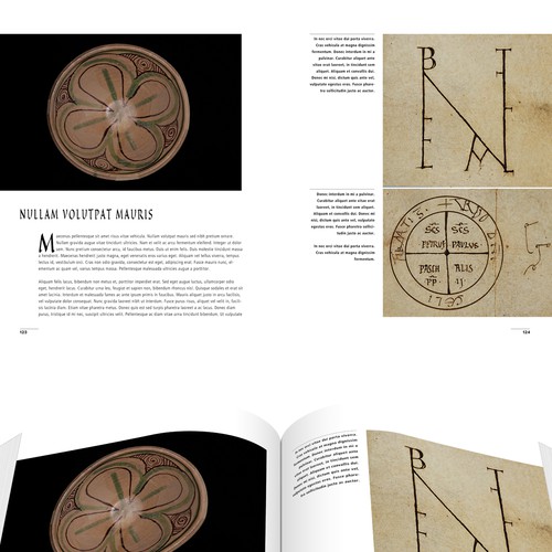  contest entry by ALXB