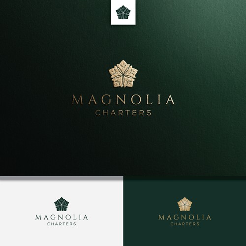 Private, luxury travel charter with Southern Charm Diseño de deez.xyz