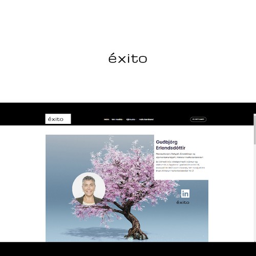 Otros diseños propuesta en el concurso por ArunPrem