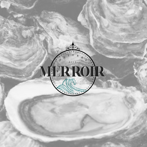 Logo design contest entry by VanillaMiller