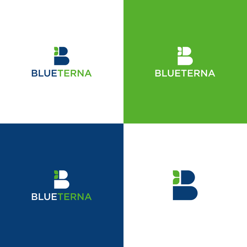 Blueterna Branding contest Design by Lion Black