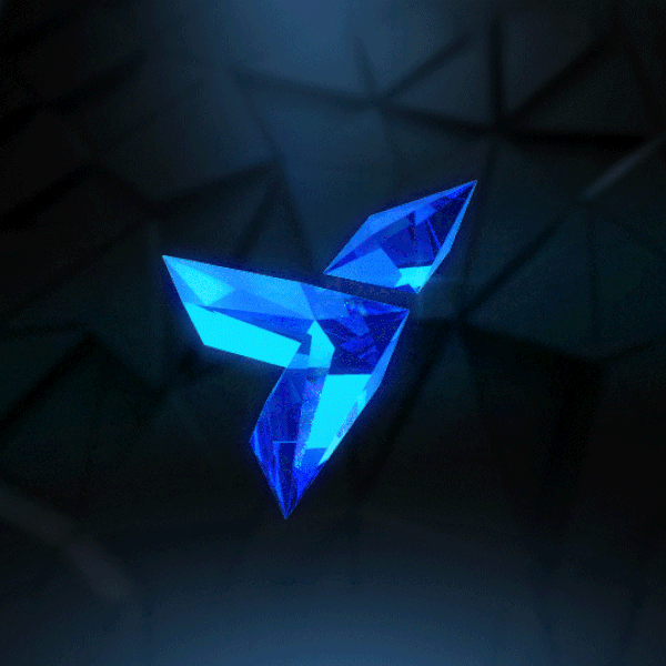 Project 1-1