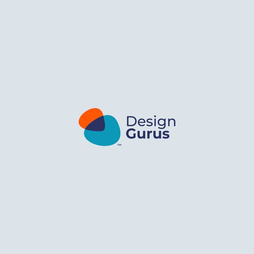 DesignGurus.com  --  NEW AGENCY Design by VisibleGravity™