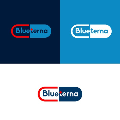 Blueterna Branding contest Design by Nana445
