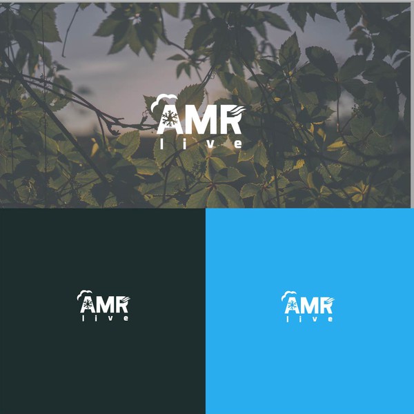 AMR logo