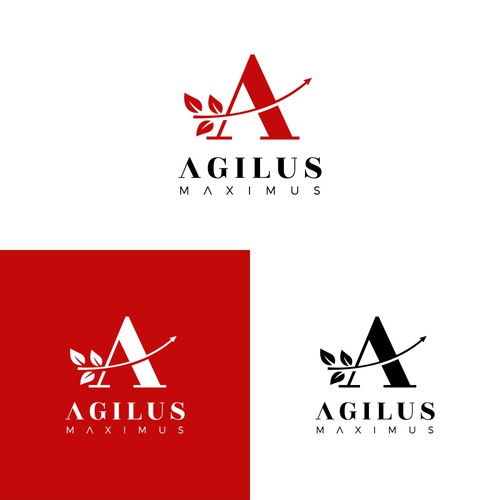 Logo for project "agilus-maximus.com" Design by MOHStudio_