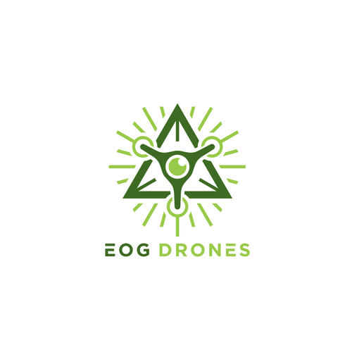 Custom Drone Company Logo Design by illergo