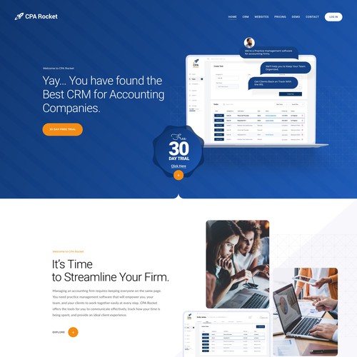 Website Design for our Accounting CRM Software Design von keilaMaria