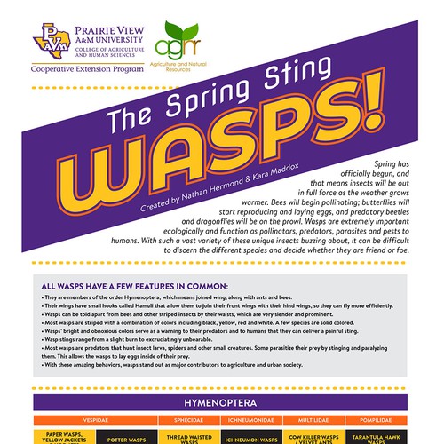 BUZZZZZZ - It's a Wasp Guide for Springtime in Texas! Design von MD1Nine