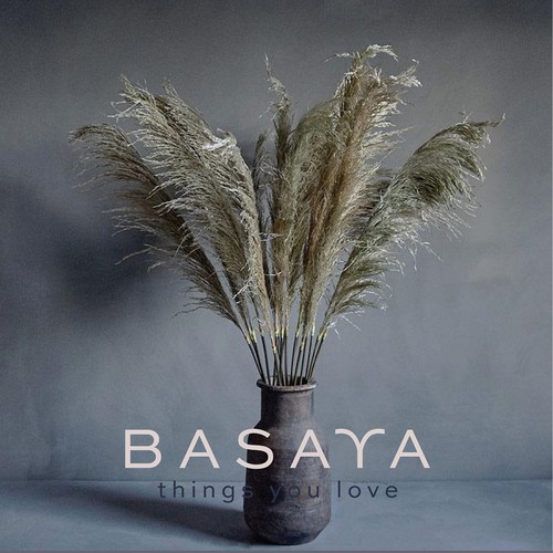 "Logo + Styleguide for Pampasgras-Brand" winning Logo & brand identity pack