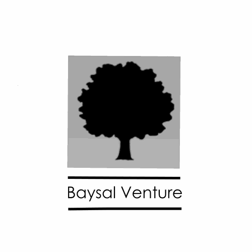 Baysal Venture Design by A1507