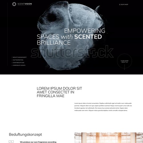 Landing page design contest entry by Zhanna A