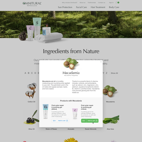 Web page design contest entry by Studio451®