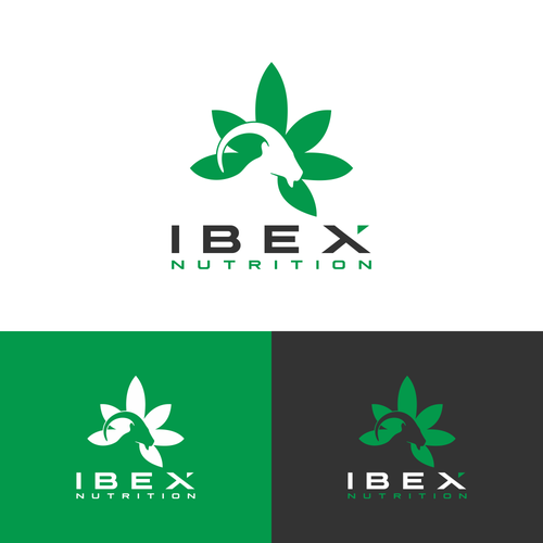 iBEX Nutrition Design by muuter