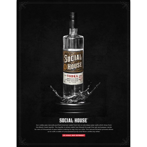 Design Seeking  Creative Ad for Premium Vodka!! por MontzDesign