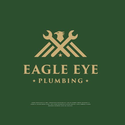 Eye catching and very marketable logo for plumbing company. The company name is Eagle Eye Plumbing Design by Dr. Paradox