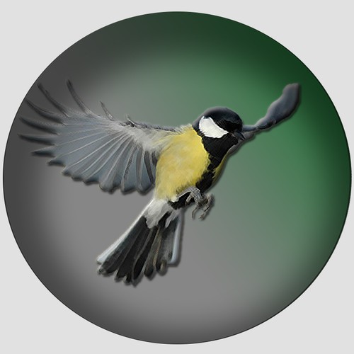  contest entry by LaKbiRi