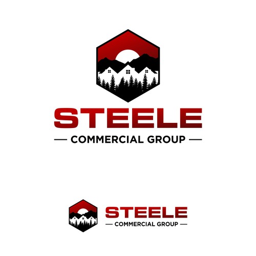 Steele Commercial Group Design réalisé par X-DNA