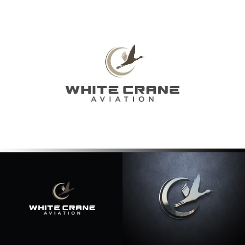 Logo for a Safe and Modern Aircraft rental company Design by ybur10