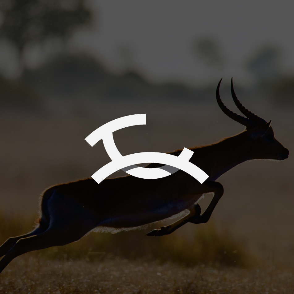 Gazelle logo with the title 'Antelope'