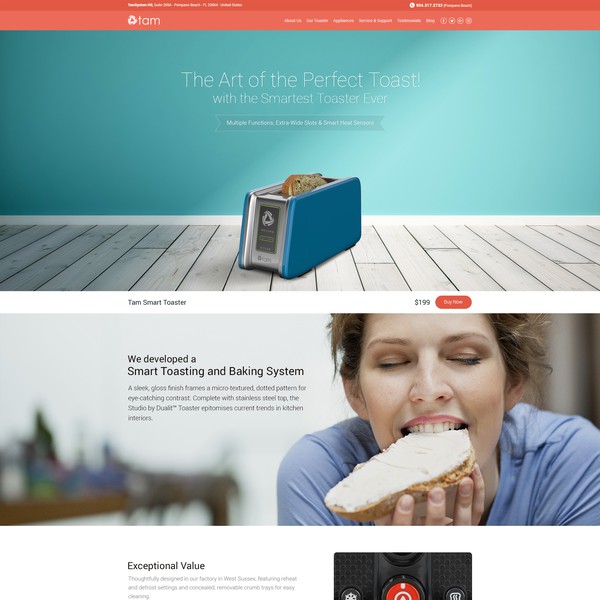 Design by WebBox titled "TAM Toasters Homepage Design"