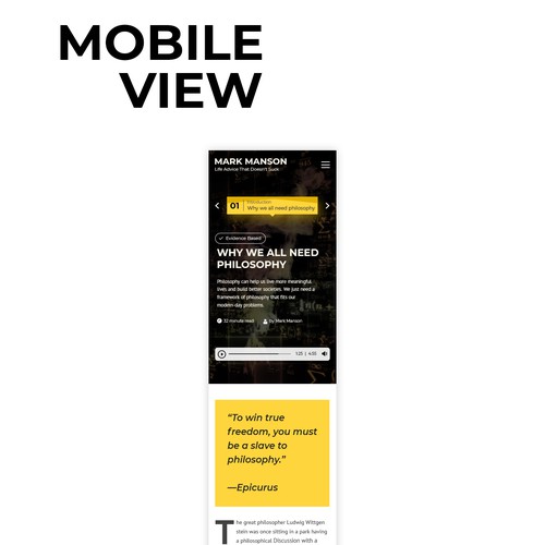 Web page design contest entry by Adventix