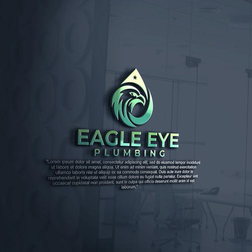 Eye catching and very marketable logo for plumbing company. The company name is Eagle Eye Plumbing Design by ElVano_Eiji ✔