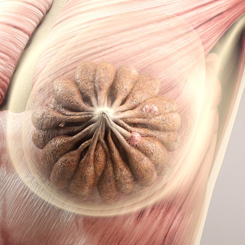 3-D Mammogram Image/Diagram Contest Design by Javad.S