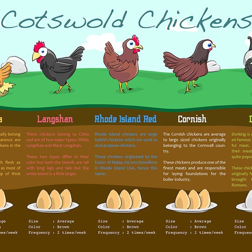 Top Chicken Breed Comparison (Infographic) : r/selfreliance