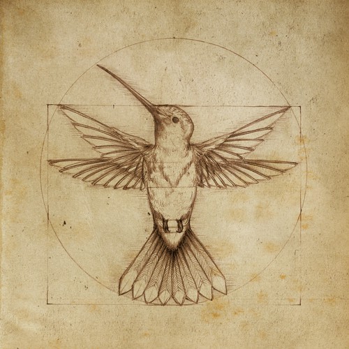 Leonardo da Vinci - Hummingbird Drawing Design por Tarin Yuangtrakul