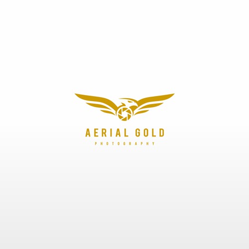 Aerial Photography Logo Logo Design Contest