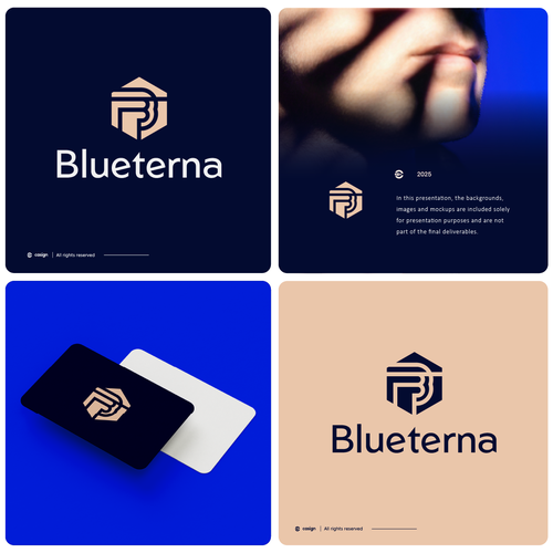 Blueterna Branding contest Design by casign