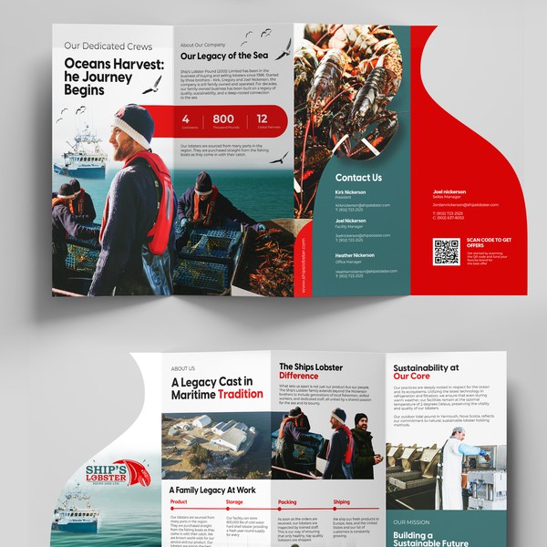 Design Brochure Promotion