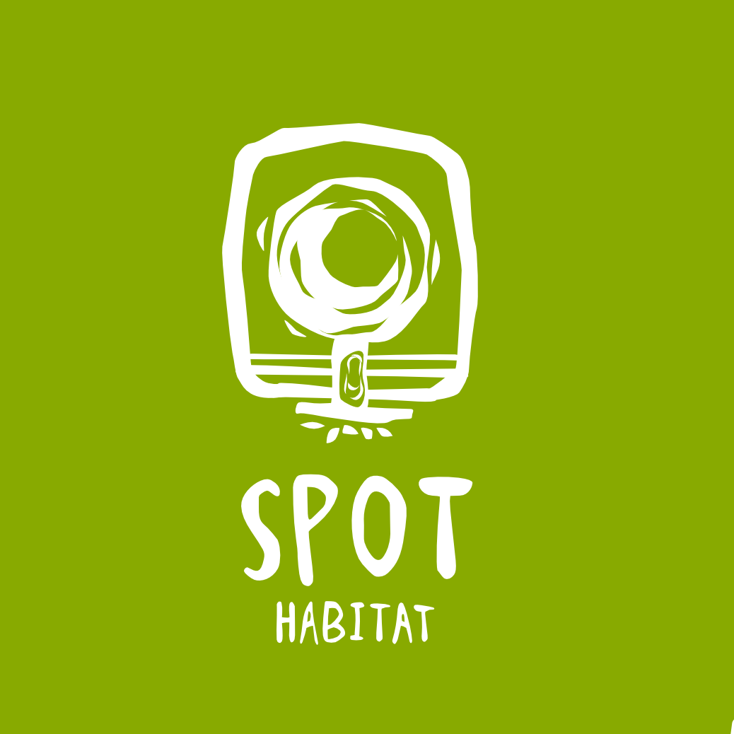 Spot Logos - Free Spot Logo Ideas, Design & Templates