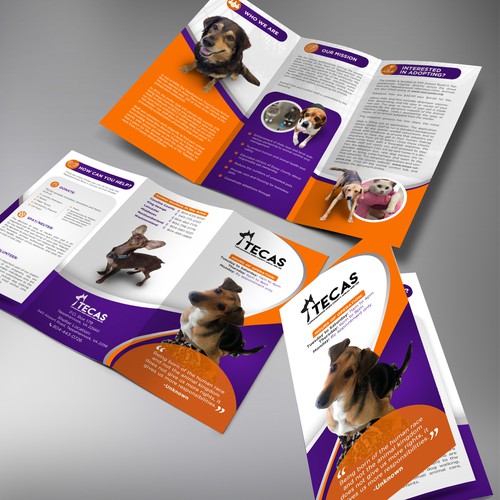 Tappahannock Essex County Animal Shelter Brochure Wettbewerb In Der Kategorie Postkarte Flyer Print 99designs