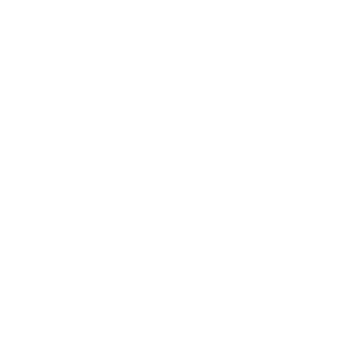 SV Logo White (1).png