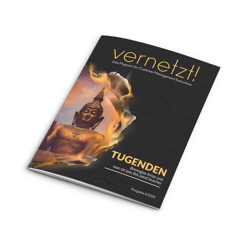 Magazine cover contest entry by SantoRoy71