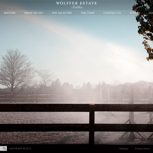 Web page design contest entry by RT85