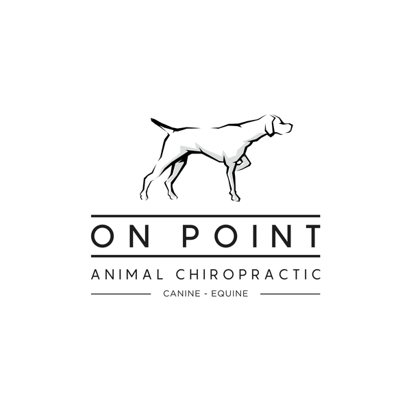 Diseño de semut hitam titulado "concept design for On Point animal doctor"