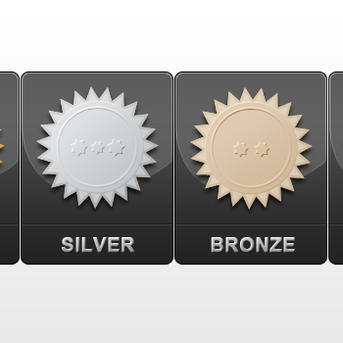 Subscription Level Icons (i.e. Bronze, Silver, Gold, Platinum) Design by Dana Chichirita